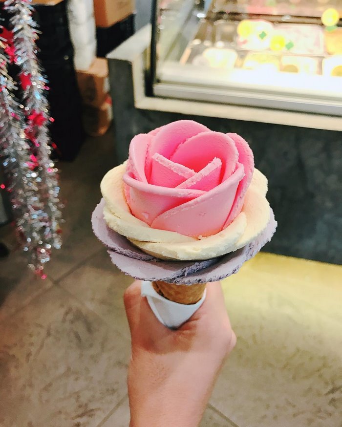 gelato-flowers-ice-cream-icreamy-10-588214e3e9ad7__700
